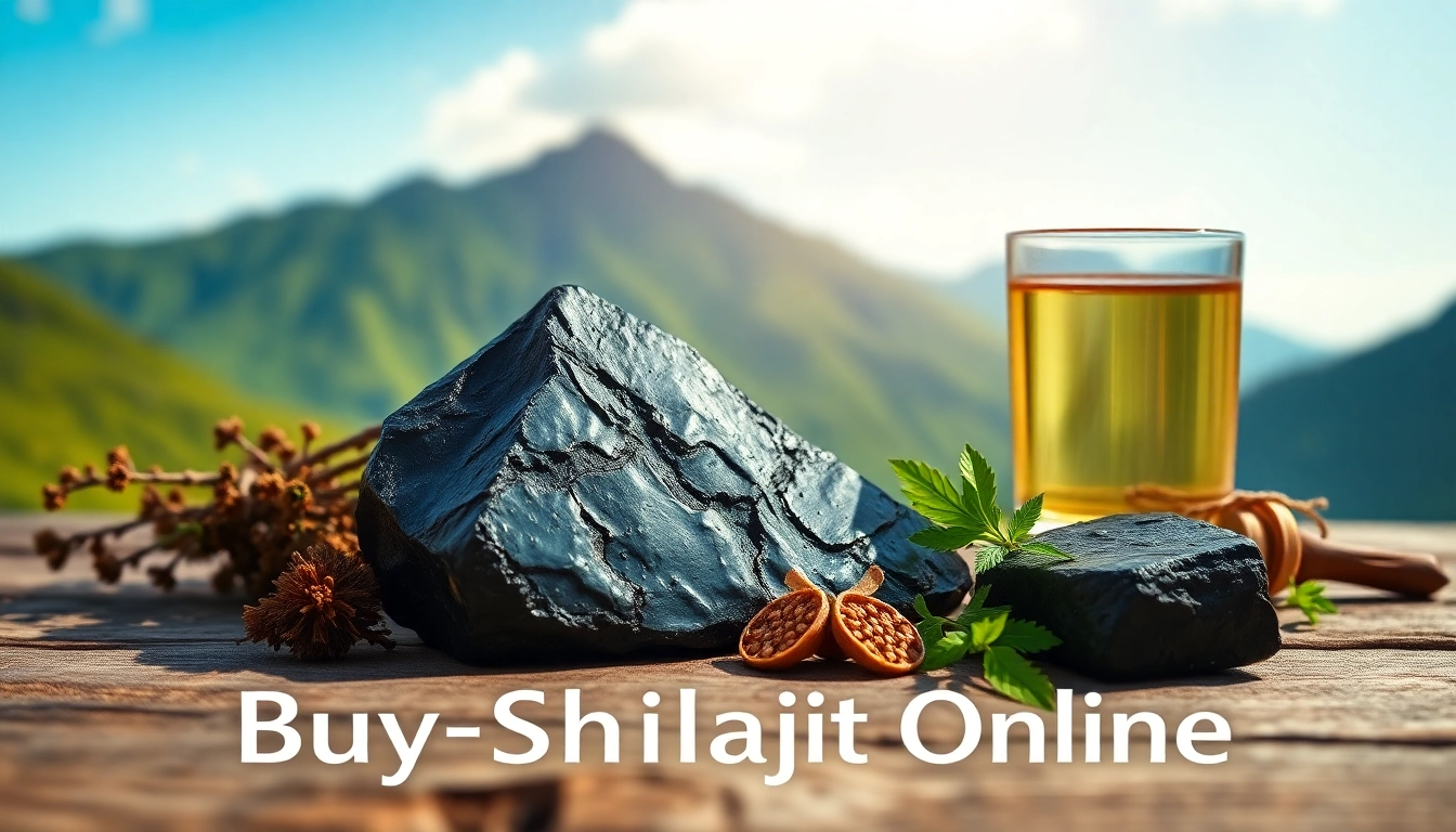 Buy Shilajit Online and discover premium Shilajit resin with rich textures and natural scenery.